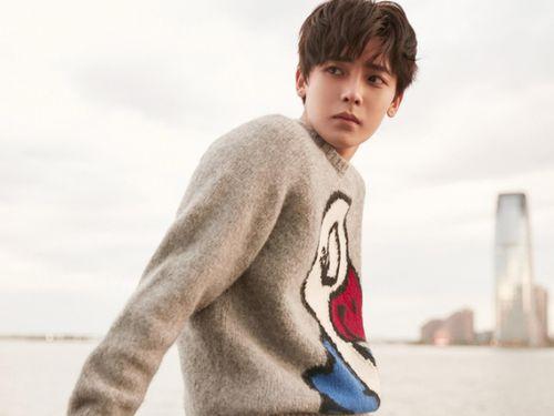 刘大锤最新爆料侯明昊,侯明昊神秘事件背后真相揭晓